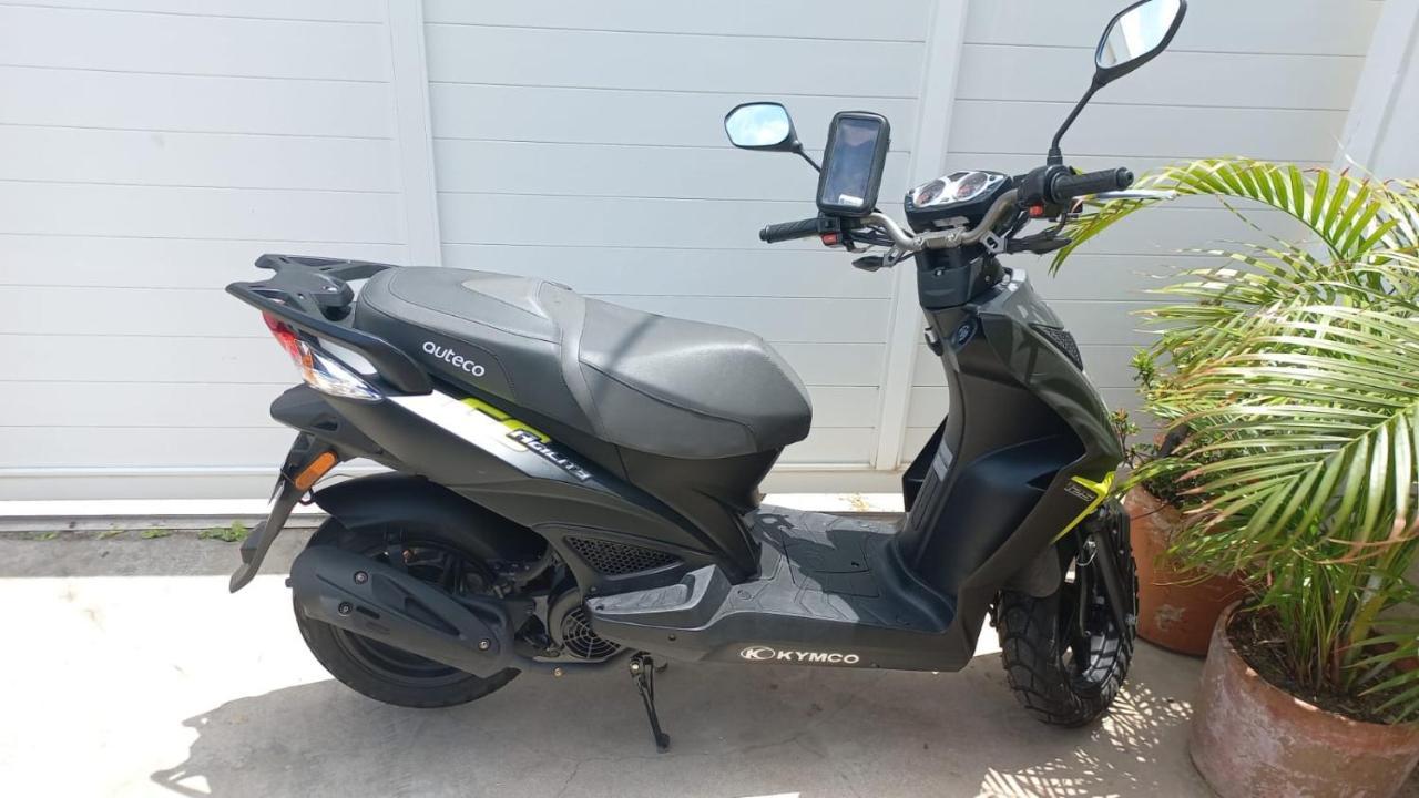 The Jazmin'S Apto B Oranjestad Eksteriør bilde